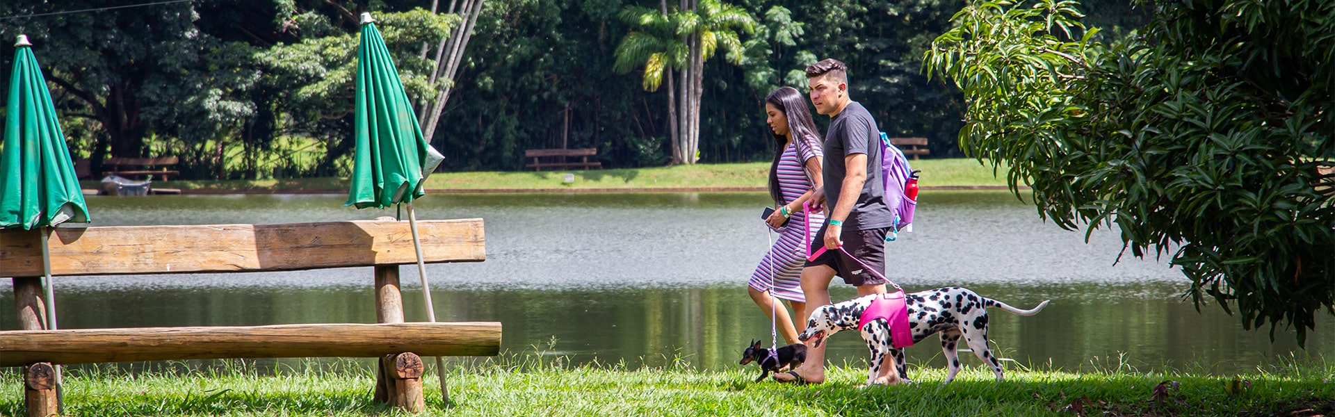 Foto de uma familia passeando com o cachorro