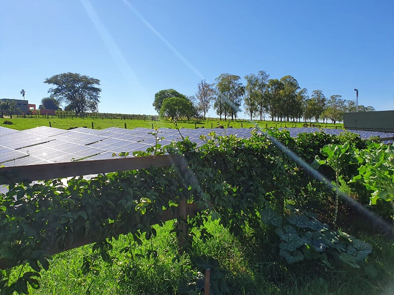 Foto de usina solar