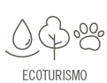 ilustração de uma gota de agua, uma arvore e uma pata de animal, representando ecoturismo